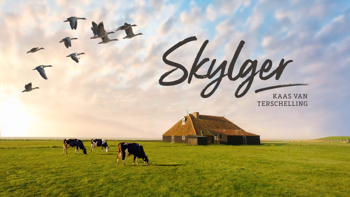Skylger