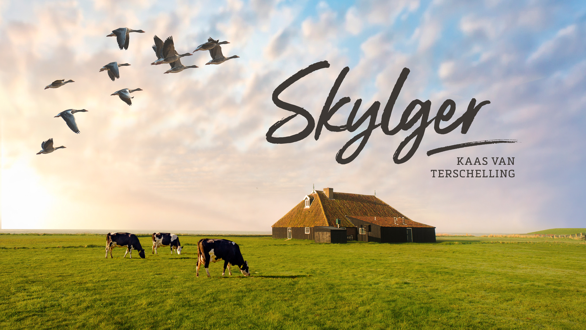 Skylger